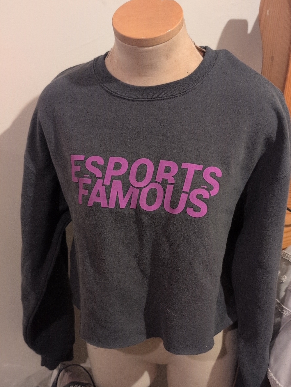 'Esports Famous' Grey Sweatshirt Crop Top